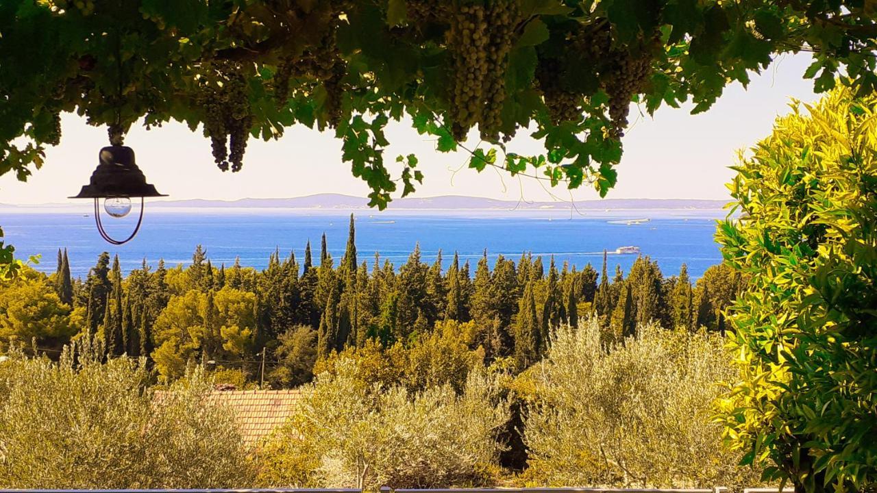 Mediterranean House - Forest Marjan สปลิท ภายนอก รูปภาพ
